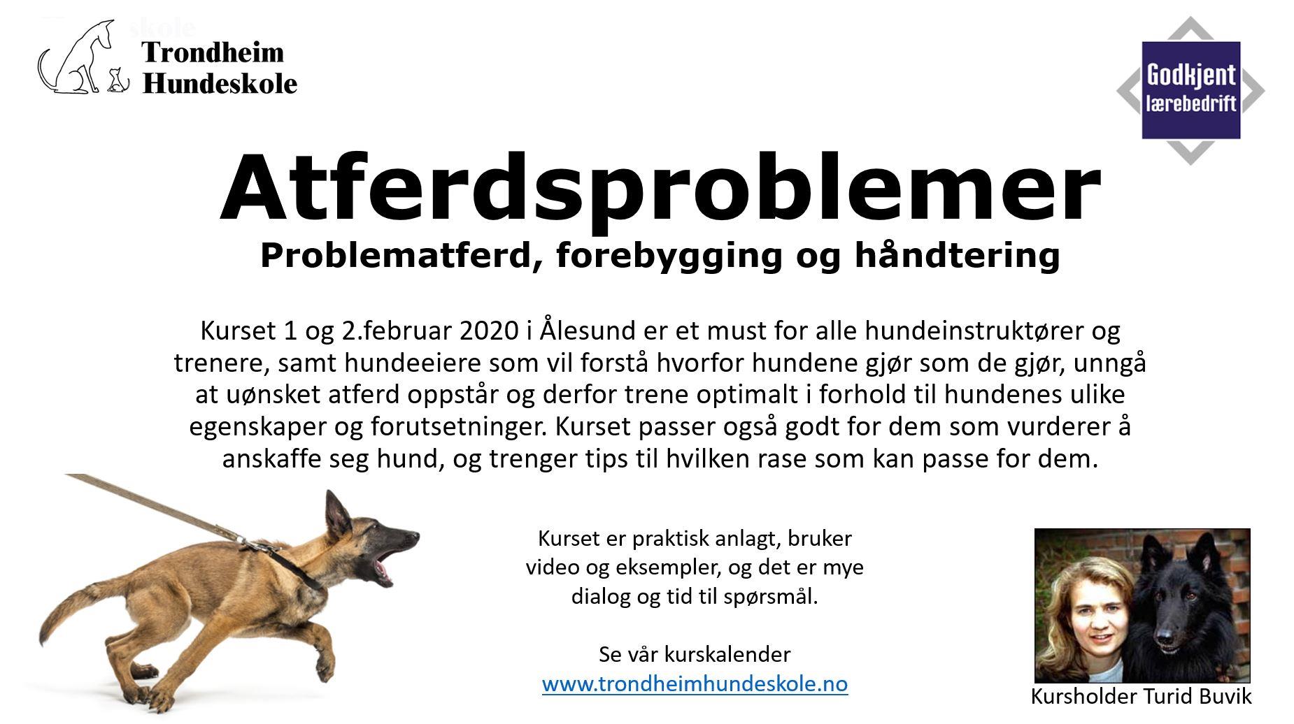 Problematferd hos hund, forebygging og håndtering, Ålesund | Trondheim  Hundeskole, image size:1850x1036
